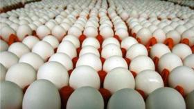 Huevos. Imagen de archivo