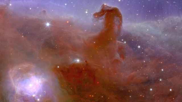 Imagen tomada por Euclid de la nebulosa Cabeza de Caballo