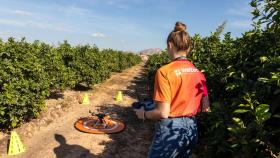 Los drones son una pieza clave en el proyecto de la agrotech Weitech.