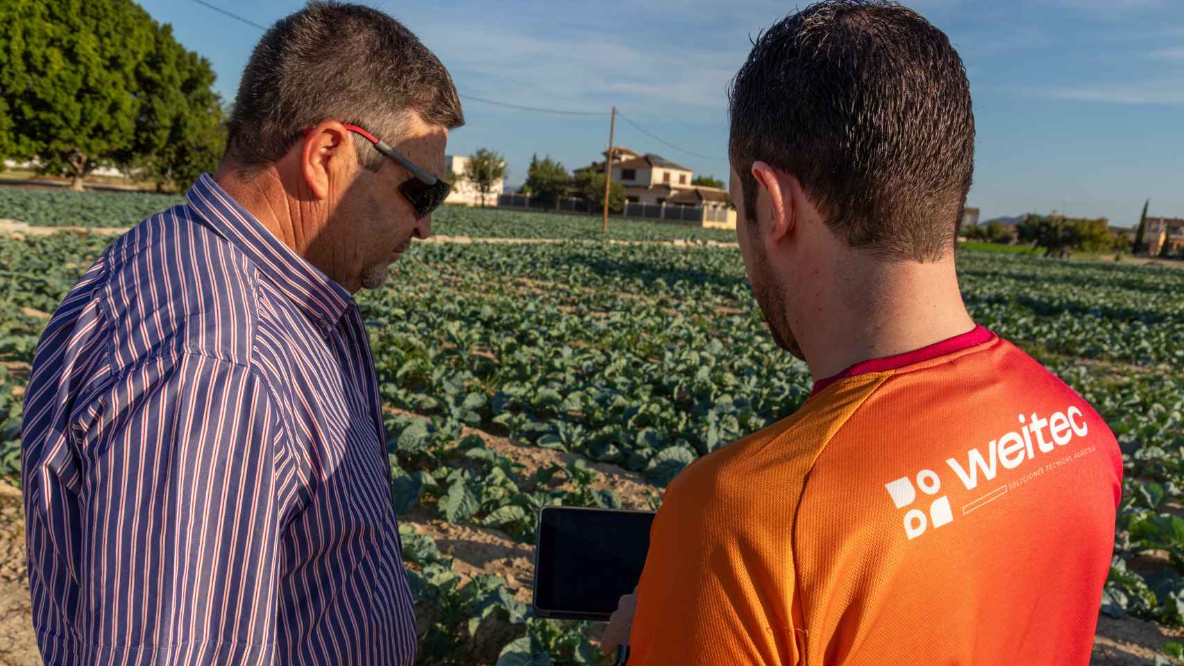 Un miembro del equipo de Weitec explica el análisis de datos en una parcela agrícola.