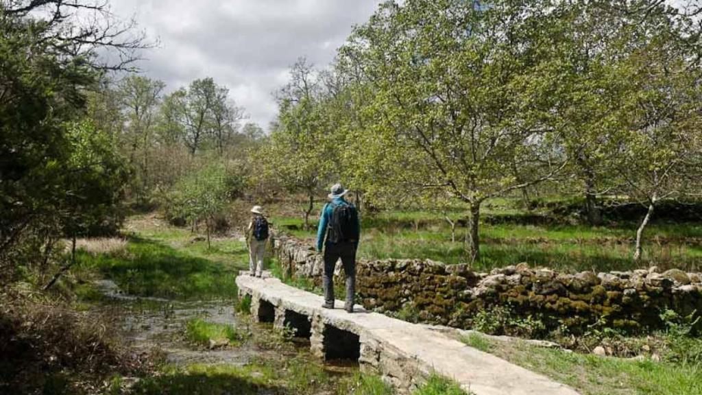 Senderismo por la Sierra de Francia