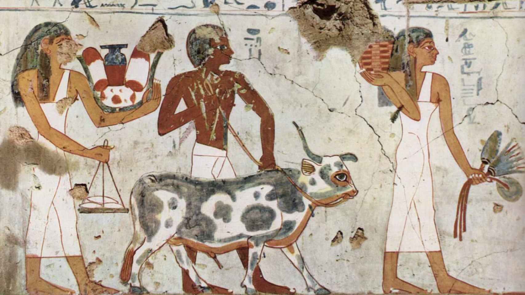 Cámara funeraria de Amenemhêt: el toro de sacrificio