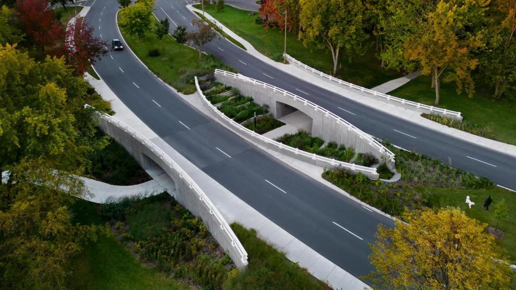 Los puentes Darwin en Montréal.