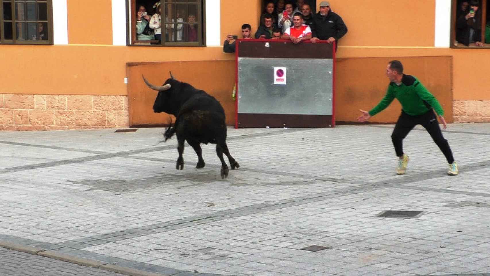 Día de toros en Traspinedo
