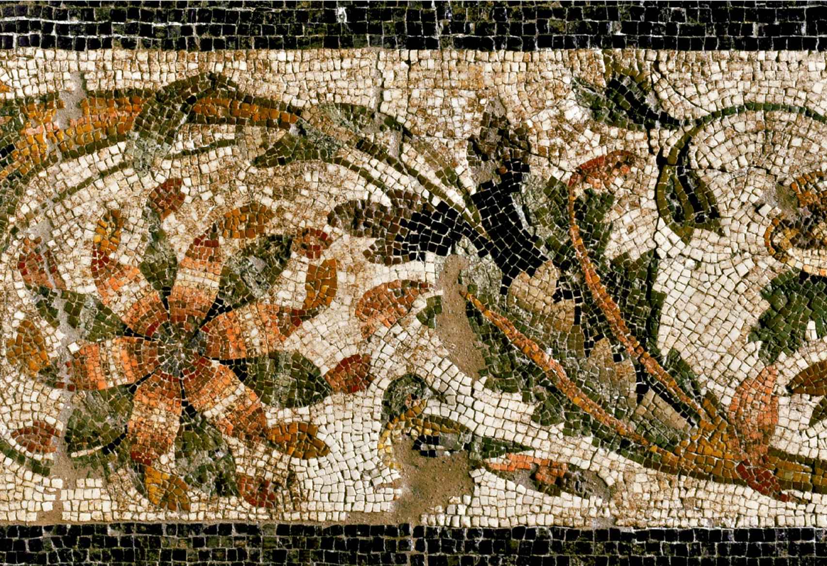 Restos de uno de los mosaicos encontrado en Claterna