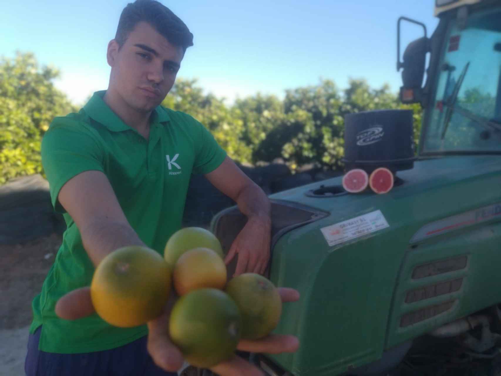 Juan Francisco Madrid, este lunes, mostrando cómo las temperaturas mantienen verdes algunos pomelos de su Finca Lo Borja en Cartagena.