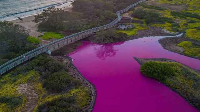 Estanque de color rosa en Hawái