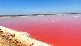 La Laguna Rosa en el mes de junio.