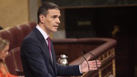El presidente del Gobierno en funciones, Pedro Sánchez, durante su discurso en el debate de investidura en el Congreso de los Diputados, este miércoles.