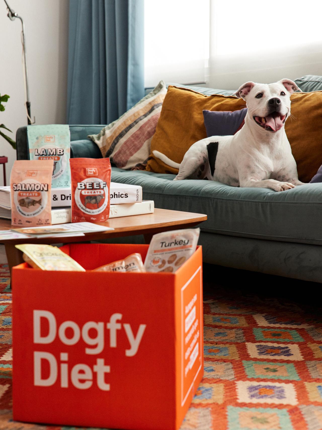 Dogfy Diet envía a domicilio la comida cocina para perros cada quince días o un mes y se puede conservar en el congelador con total seguridad.