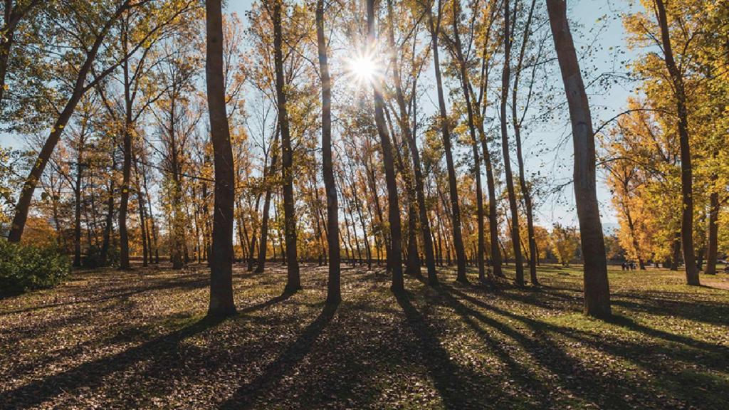 La naturaleza, como ahora en otoño, es otro de los grandes atractivos de esta localidad burgalesa