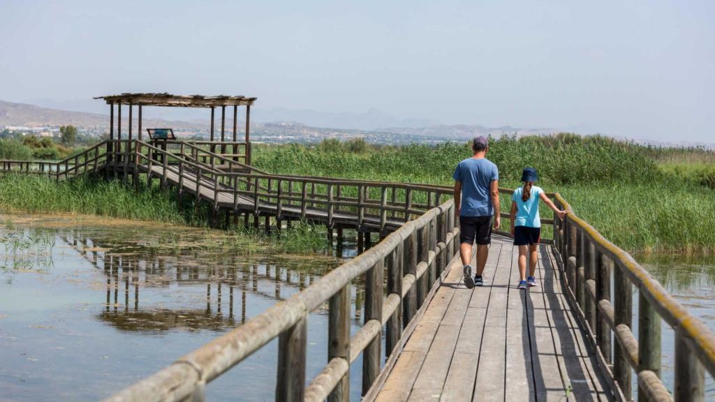 Una de las pasarelas del Parque Natural del Hondo