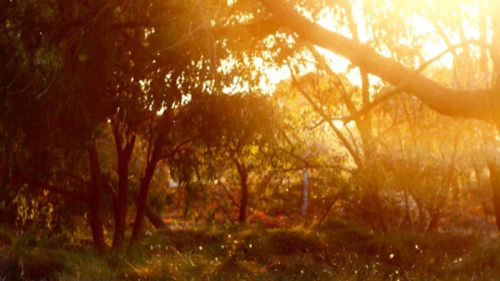 La luz del atardecer en el Parque Natural de la Mata-Torrevieja