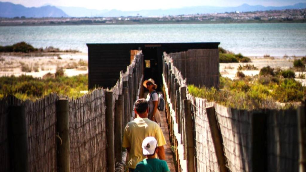 El acceso a un mirador en el Parque Natural de La Mata-Torrevieja.