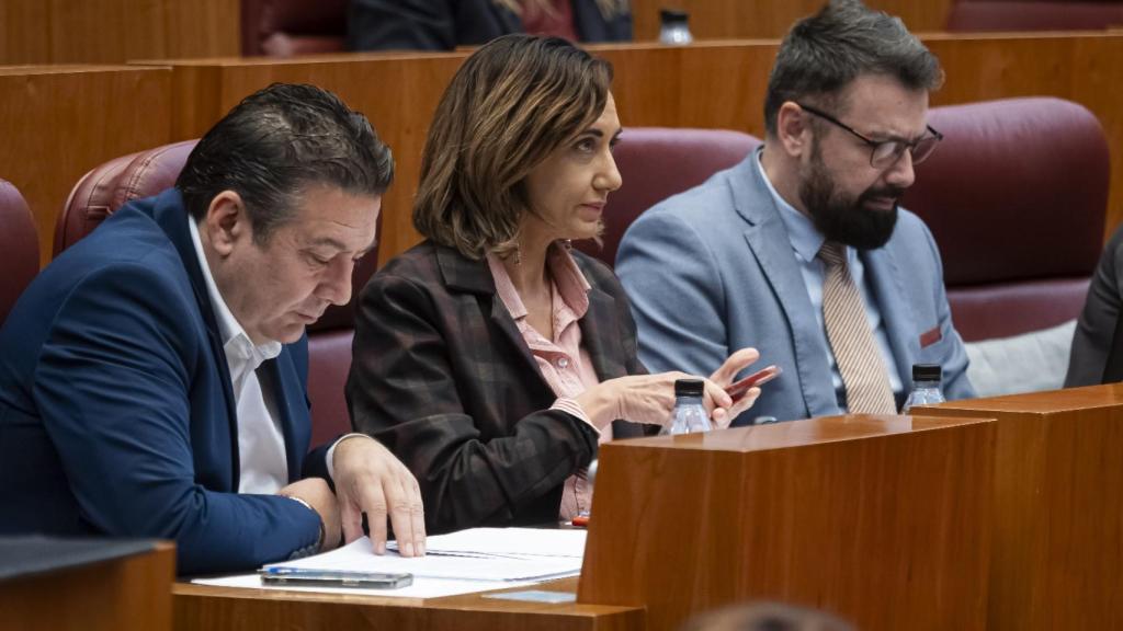 Los tres procuradores de UPL en las Cortes de Castilla y León