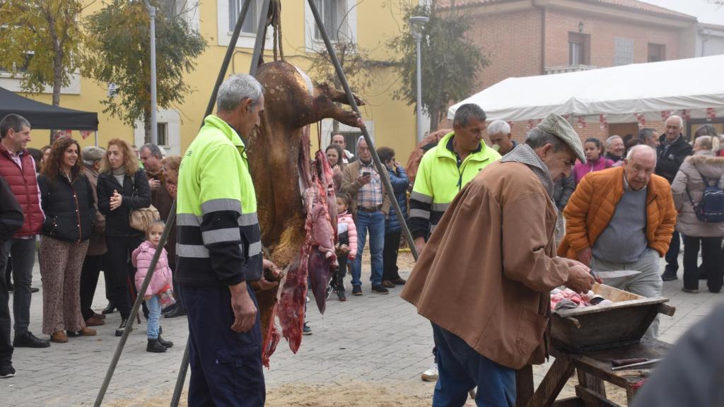 Las mejores imágenes de la multitudinaria fiesta de la matanza en Valdestillas