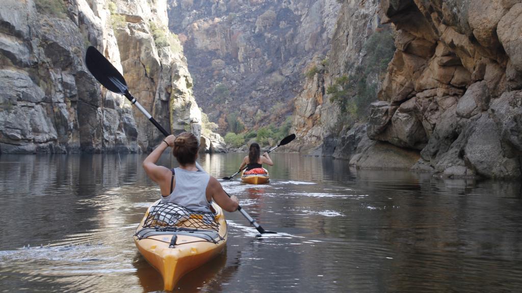 Rutas guiadas en kayak