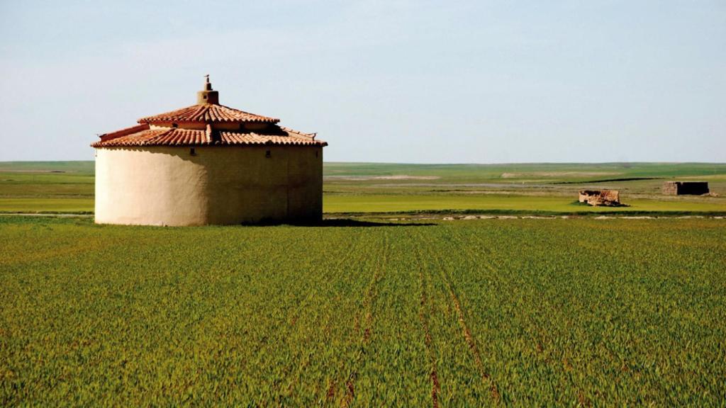 Palomar típico de Tierra de Campos