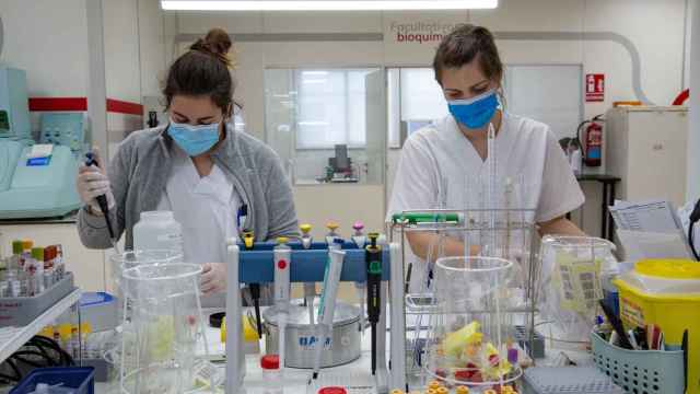 Profesionales de Ribera Lab trabajando en el laboratorio.