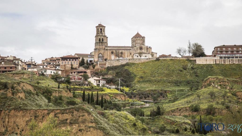 Vista de Toro