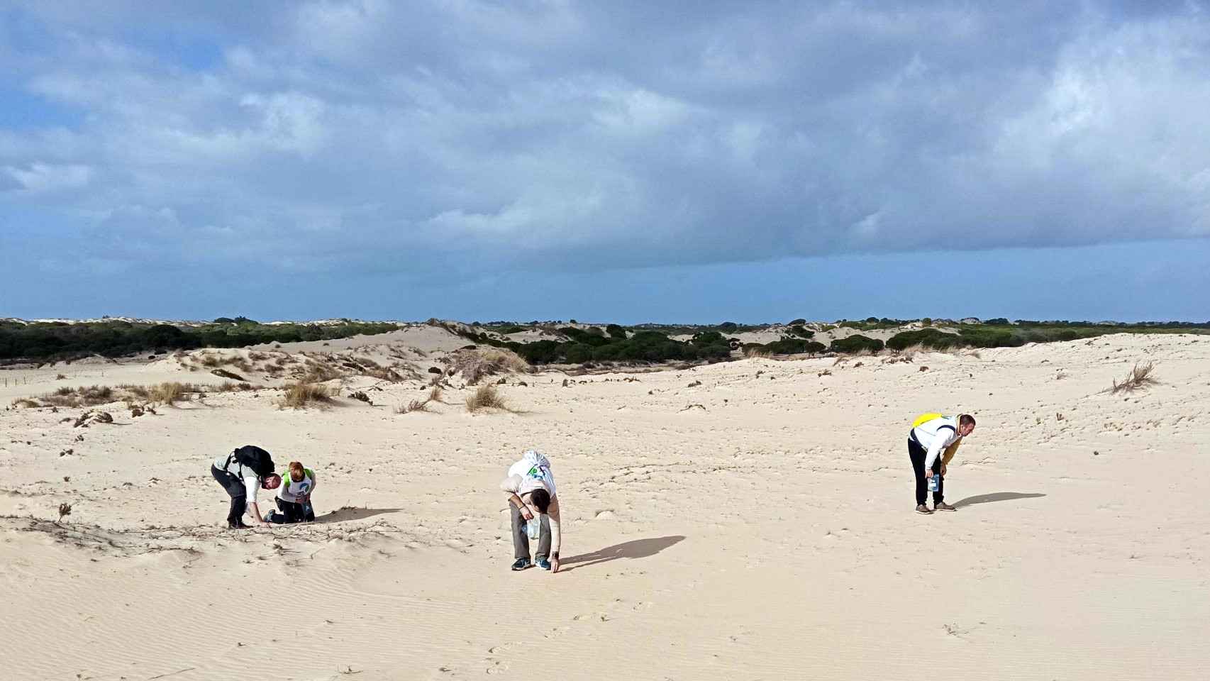 Un grupo de voluntarios retira perdigones de plomo de la duna del Cerro de los Ánsares.