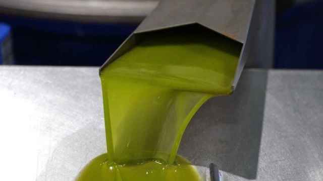 Producción de aceite de oliva.