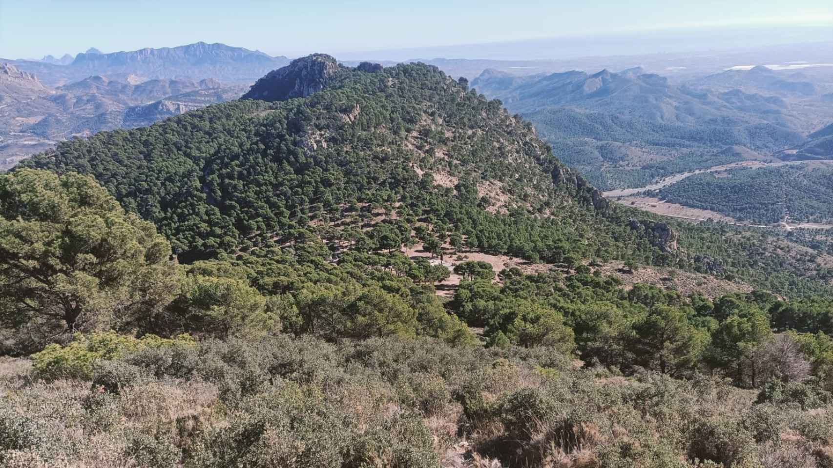 Algunos de los paisajes de la montaña de Alicante del ascenso al Maigmó.