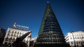 Vistas del abeto situado en la plaza de Sol de Madrid, días antes del encendido navideño.