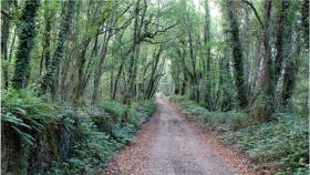 Imagen de la Ruta Arqueológica do Acevedo en Lugo