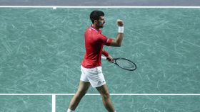 Novak Djokovic celebra un punto en la Copa Davis de Málaga