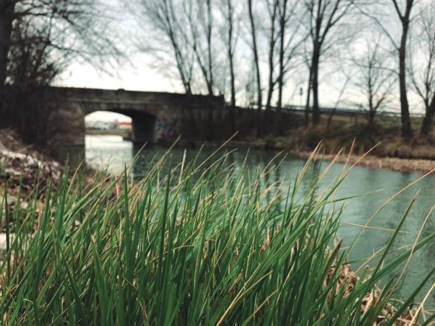 Canal de Castilla, a su paso por Cabezón