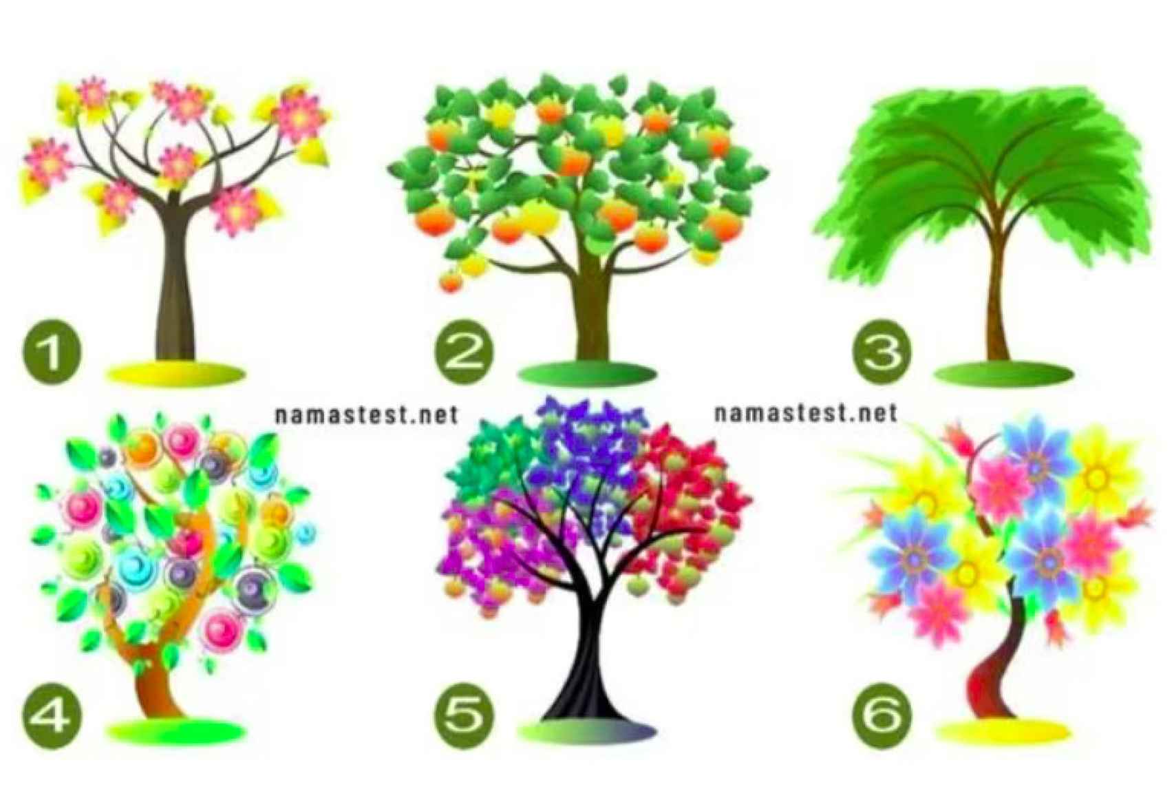 ¿Con cuál de estos árboles te quedas?