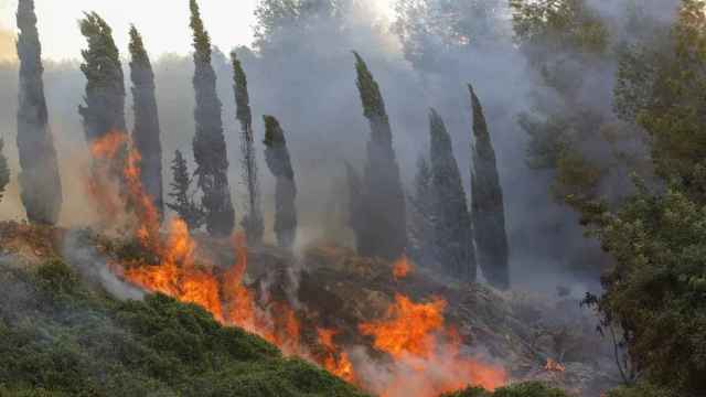 Incendio forestal de Montitxelvo (Valencia).