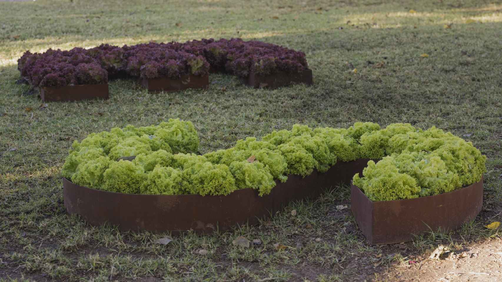 Letras de acero con las hortalizas, en el jardín de Ghada Amer. EE