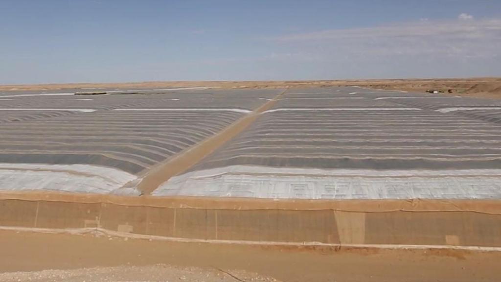 Panorámica de los invernaderos de Dakhla, en el desierto del Sáhara Occidental.