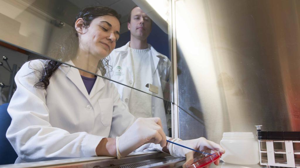 Una investigadora y el Dr. McConnell durante los trabajos en el laboratorio.