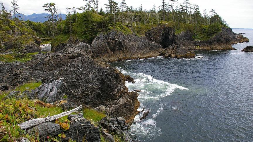 Costa de la isla de Nutka, actual Canadá