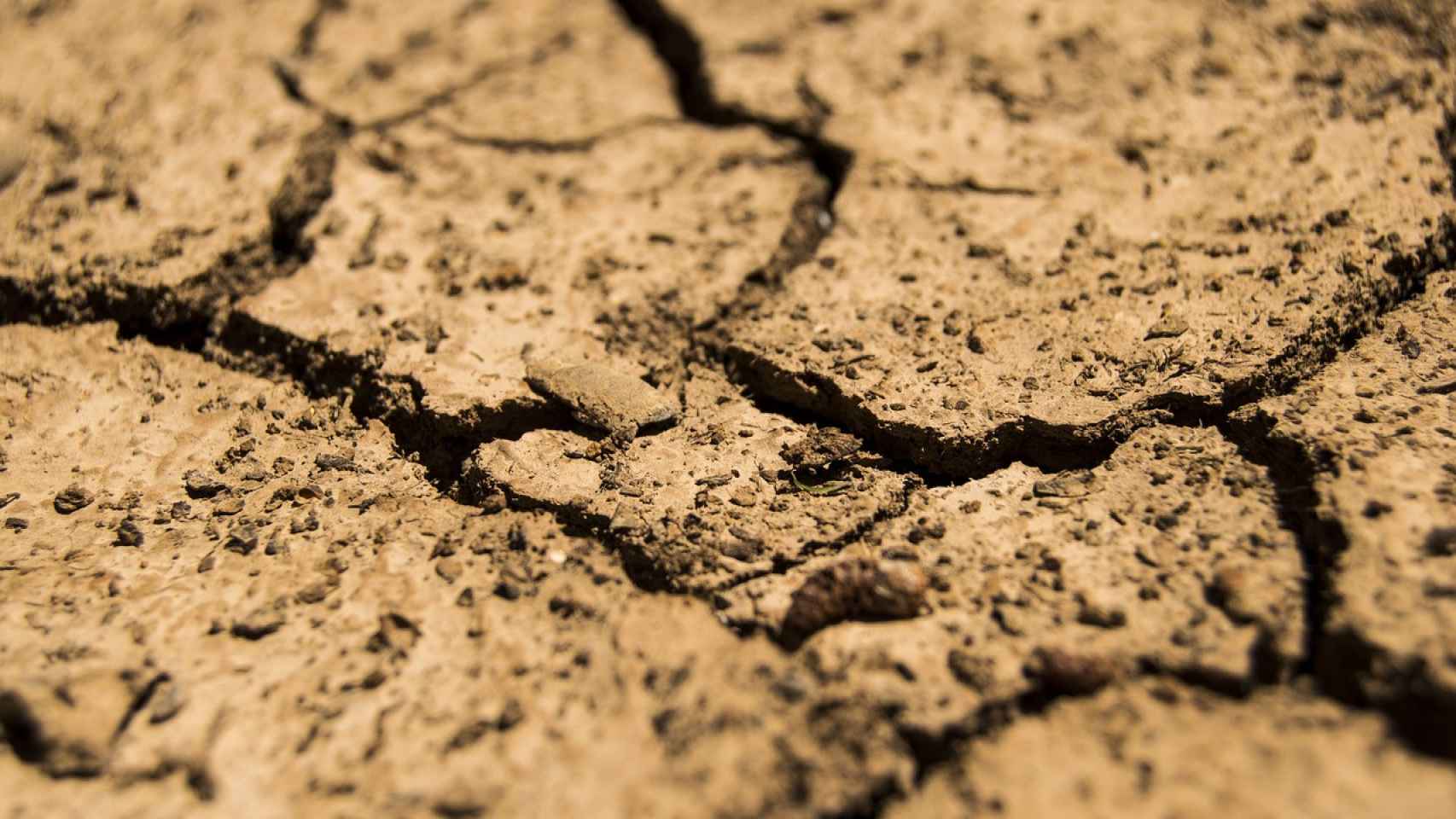 Terreno árido por la sequía.