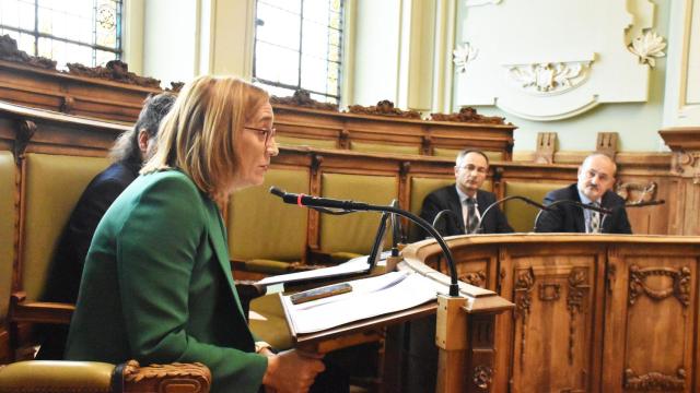 Rocío Anguita, portavoz de VTLP y los concejales de Vox, Víctor Martín y Alberto Cuadrado, al fondo