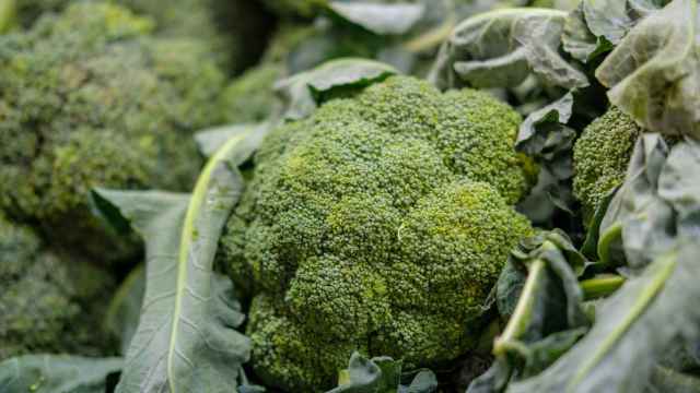 Esto es lo que dice la ciencia sobre tomar brócoli cada semana en España.