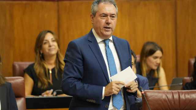El portavoz del PSOE en el Senado, Juan Espadas.