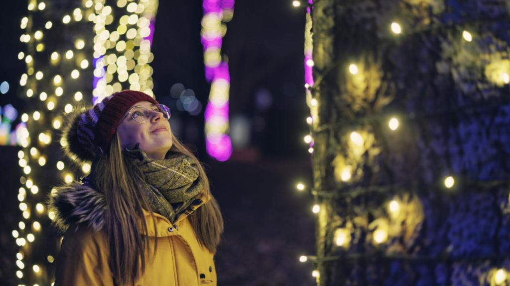 Un parque mágico de la Navidad se instalará en Cantabria y en este emblemático parque