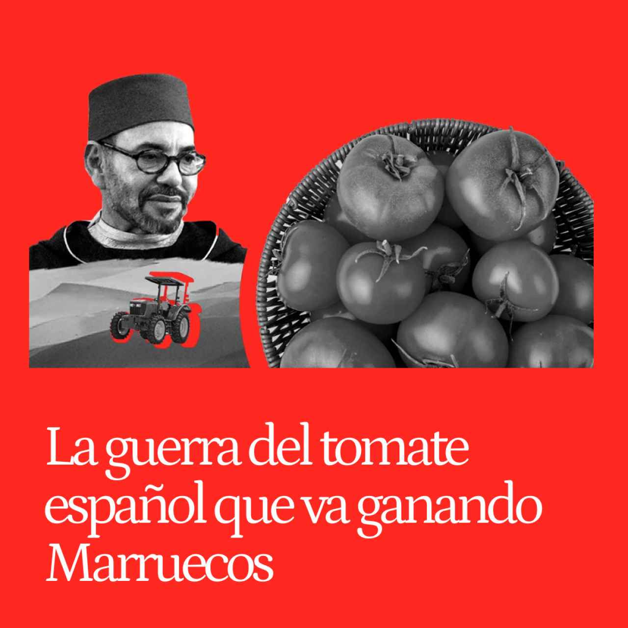 La guerra del tomate español que va ganando Marruecos por cultivar en el Sáhara Occidental