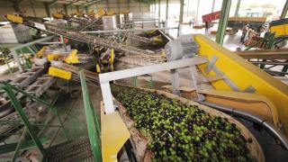 Tecnología aplicada al sector del aceite.