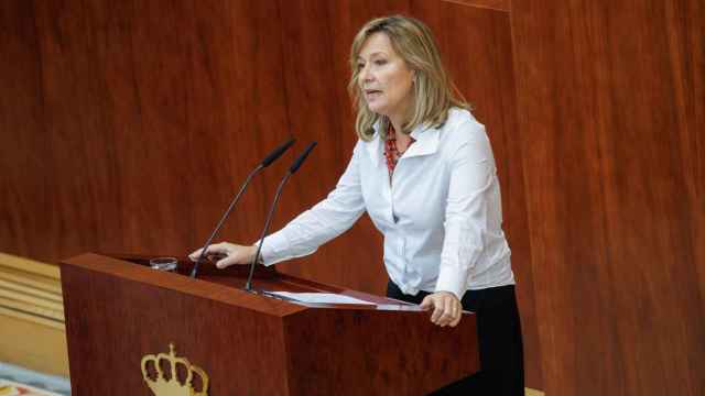La diputada del PSOE, María de los Llanos Castellanos, interviene durante una sesión plenaria de la Asamblea de Madrid