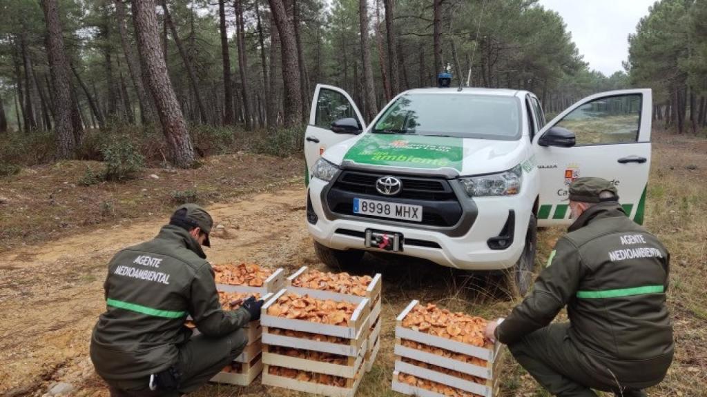 Agentes medioambientales junto a los níscalos decomisados