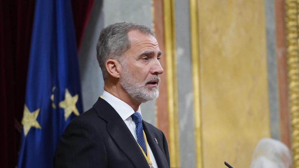 El Rey, Felipe VI, este miércoles en el Congreso de los Diputados.