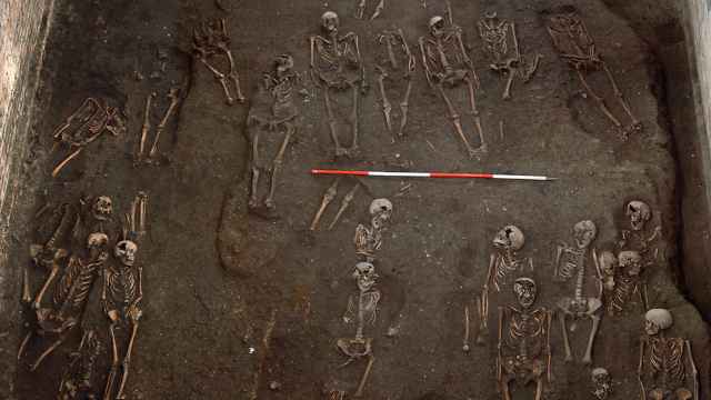 Algunos de los esqueletos hallados en la zona donde se ubicaba el antiguo hospital de San Juan Evangelista en Cambridge.