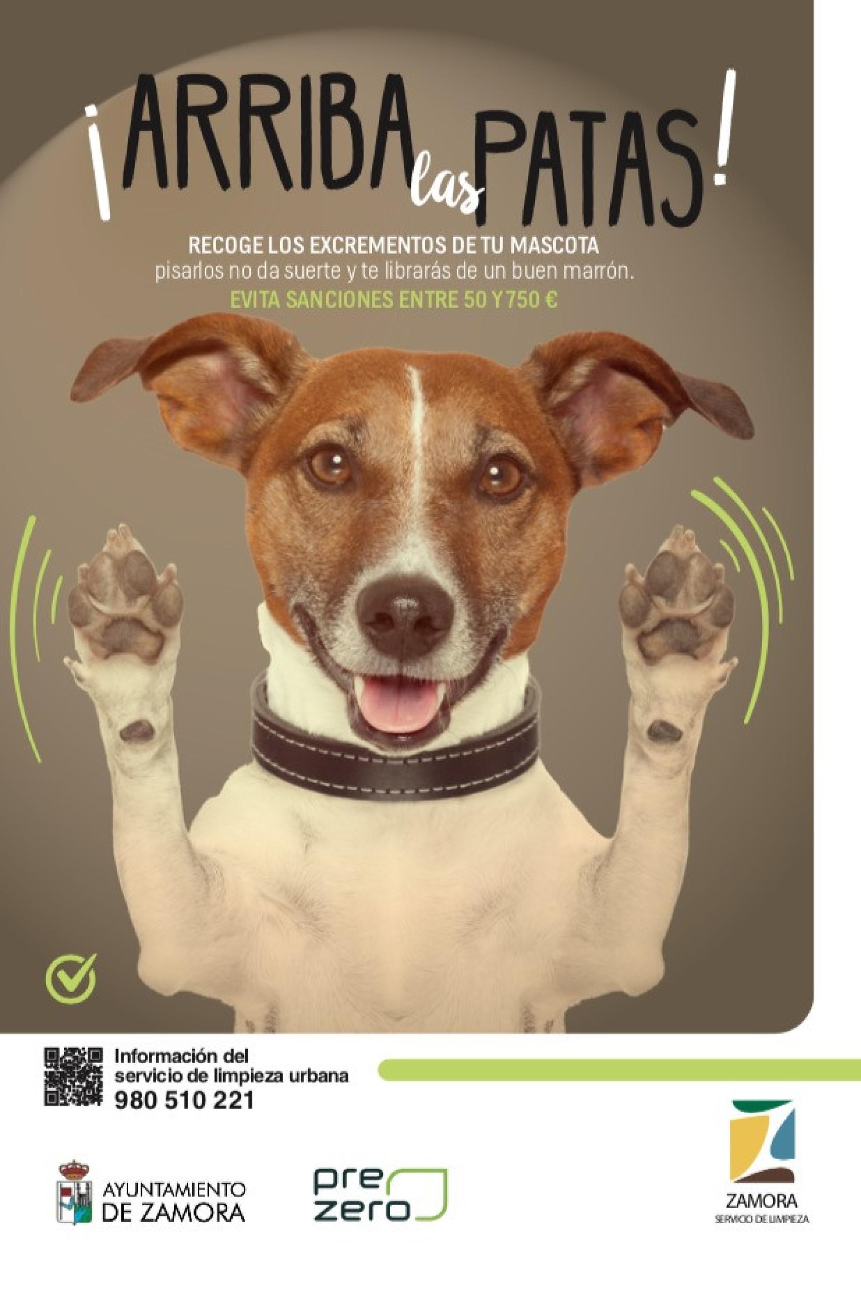 Cartel de la campaña de sensibilización promovida por el Ayuntamiento de Zamora contra los excrementos de los perros