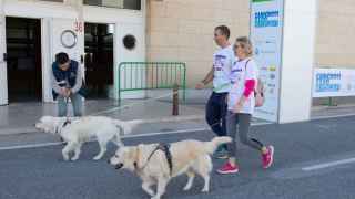 Fira Alacant acoge este finde 'Expomascotas' con más de 60 expositores, actividades y salón de adopción